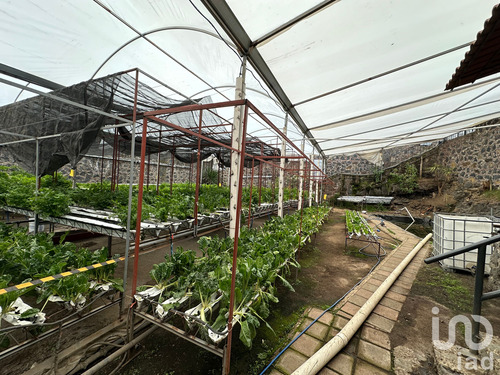 Venta Terreno 0 Ambiente San Andrés Totoltepec