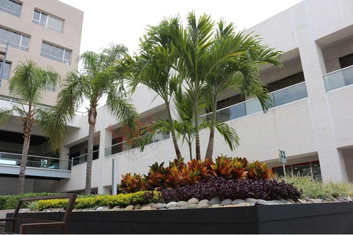 Local Comercial En Renta En Plaza Novum, Jiutepec Ideal Para Negocios De Alto Perfil