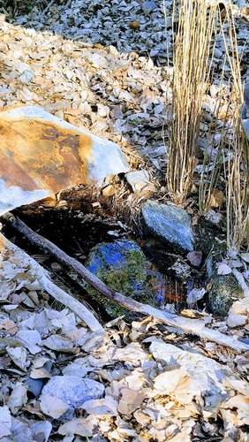 Imagen 9 de 22 de 2.5 Hectáreas Los Hornillos Con Vertiente De Agua Propia