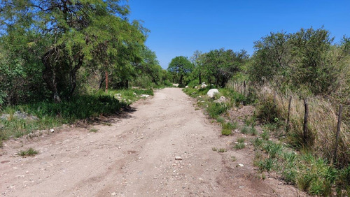 Imagen 5 de 13 de Venta De Terrenos En Villa De Las Rosas Traslasierra Cordoba