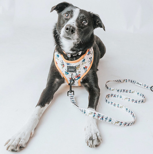 Juego De Harness Y Correa Sassy Woof Disney Perros Talla M