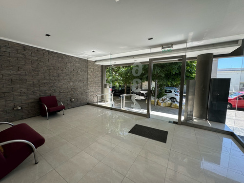 Hermoso Departamento De Dos Dormitorios En Alquiler - La Plata