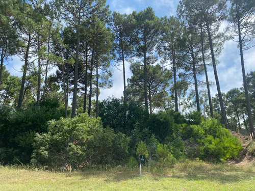 Lote En Venta Zona Alamos (tres Carabelas E/ Garzas Y Calandria)