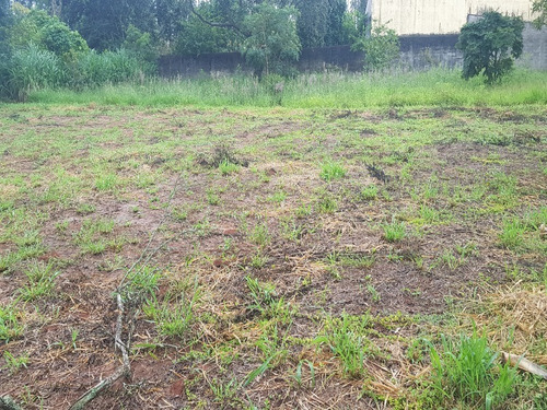 Imagem 3 de 9 de Terreno No Condomínio Estância Dos Lagos Em Atibaia. São 1.000 M2 Com Excelente Topografia E O Lote Todo Murado. - Te00091 - 70442915
