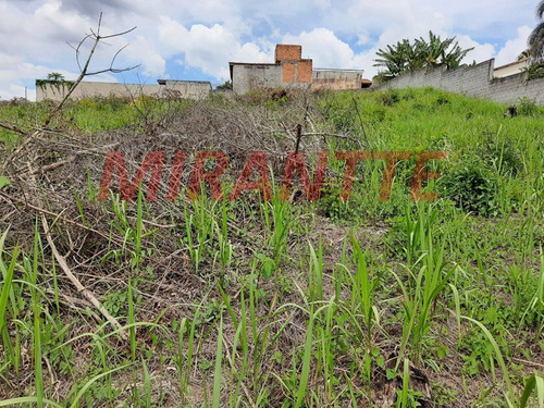 Imagem 2 de 4 de Terreno Em Centro - Mairiporã - Mairiporã, Sp - 355113