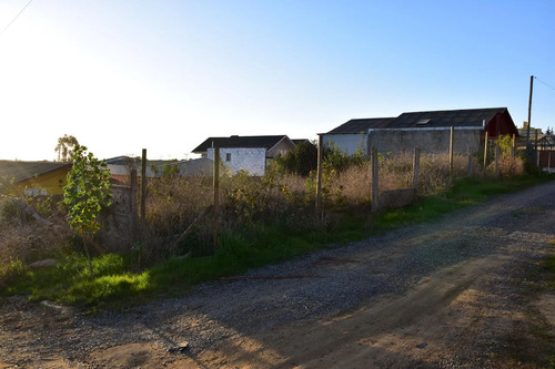 Invierte En Un Sitio En Algarrobo Norte