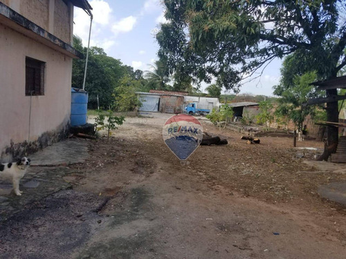 Terreno À Venda, 4200 M²- Felipe Camarão - Natal/rn - Te0093