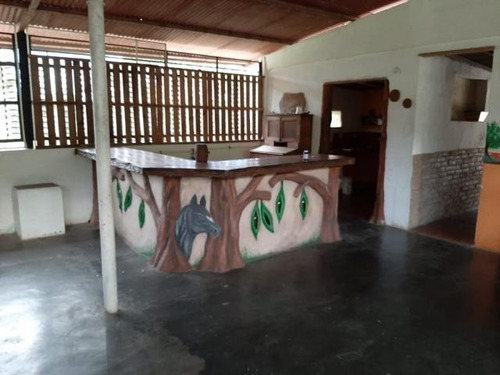 Imagen 6 de 12 de Finca En Venta En Nirgua Yaracuy Marco Sevilla C425989