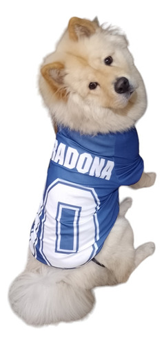 Camiseta De FĂștbol Para Perros Maradona Mundial 94