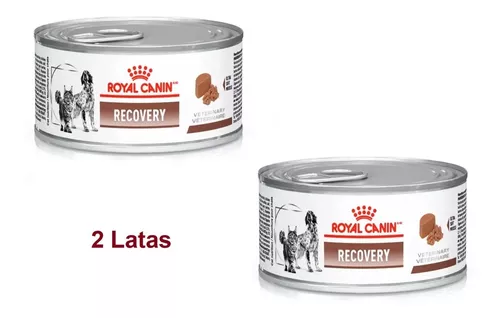 Recovery Royal Canin Ração Úmida Cães E Gatos 195g - 2 Latas