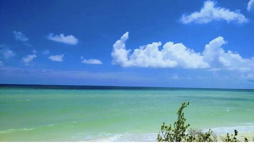 Imagen 27 de 29 de Lotes Plus En Lujoso Complejo Residencial Y Club De Playa Privado En Sisal !!