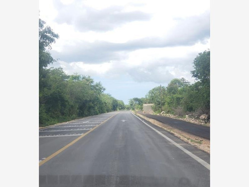 Imagen 11 de 12 de Terreno En Venta Santa María Yaxché