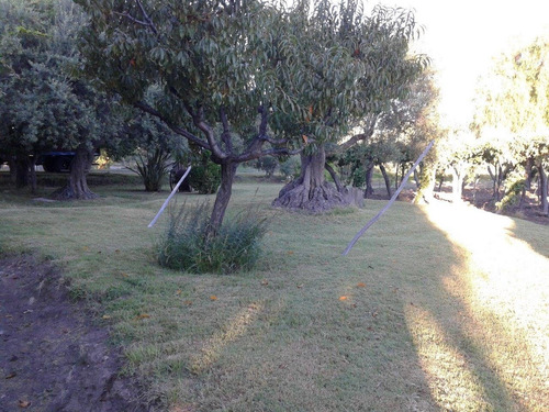 Imagen 8 de 10 de 40 Has. En Los Campamentos