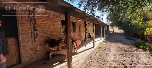 Campo Estancia En Venta De 5300 Has En Patagonia Bariloche.