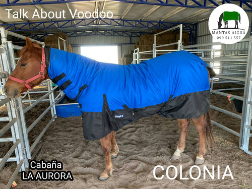 Imagen 8 de 10 de Manta Capa Caballo Importada (descuento Vta. Directa)
