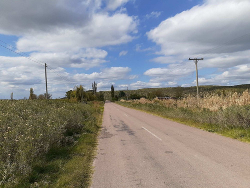 Imagen 7 de 24 de Predio Urbano/rural S. Rafael Las Malvinas Mendoza