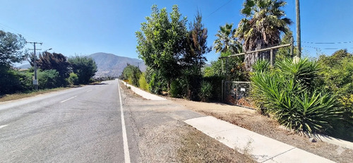 Venta De Parcela De 20.000 M2, Hermosa Y Productiva, En El M