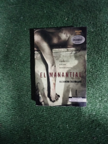 El Manantial. Alejandro Castroguer. C3 (Usado)