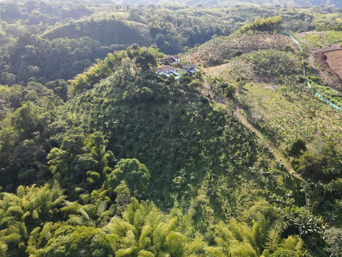 Imagen 30 de 30 de Venta De Finca En Pereira Vereda Combia .