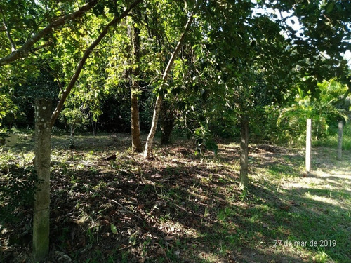 Terreno Para Venda, 622.5 M2, Guaratiba - Rio De Janeiro - 734