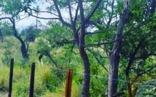 Imagen 3 de 6 de Lote En Venta En Rincón Del Este, Merlo San Luis.