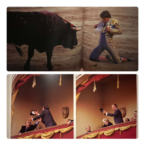 Toro Ramon Masats Joaquin Vidal La Fiesta De Los Toros (Usado)