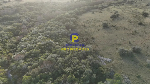 3 Hectáreas En Pueblo Edén Con Arroyo Y Monte Nativo