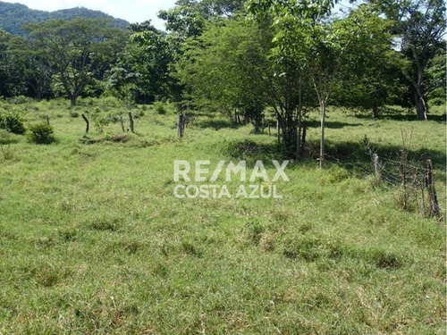 Remax Vende Finca De 80 Hectáreas A Desarrollar Precio De Oportunidad, Sector Riecito, Estado Falcon.