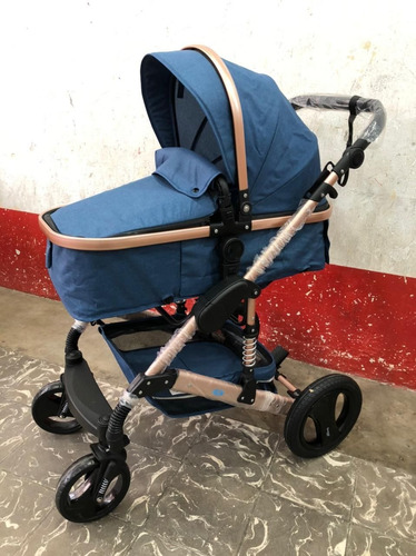Imagen 5 de 10 de Coche Paseador,tipo Moises