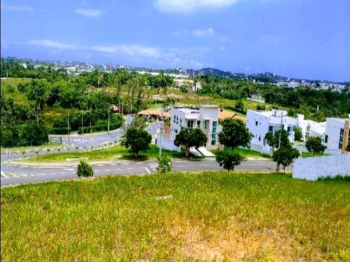 Imagem 6 de 6 de Terreno - Te00002 - 32756163