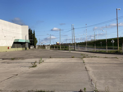 Imagen 25 de 27 de Depósito 6.000m2 - Rosario