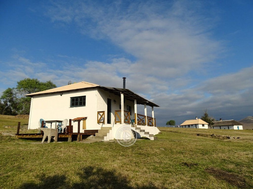 Imagen 2 de 30 de Las Anacahuitas En Lavalleja