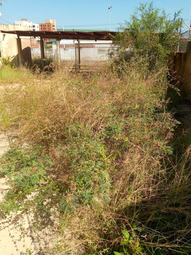 Imagen 4 de 6 de Casa Para Remodelar En El Sector Las Mercedes ¡a Precio De Oportunidad!