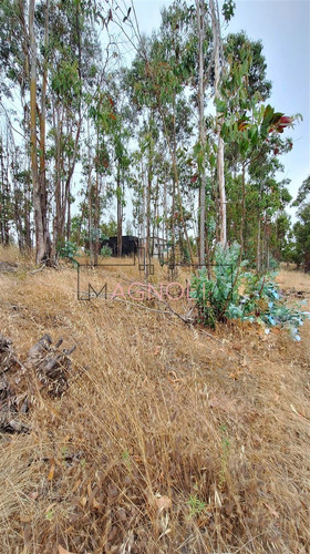 Casa En Venta De 1 Dorm 1 Baño, Topocalma, Puertecillo
