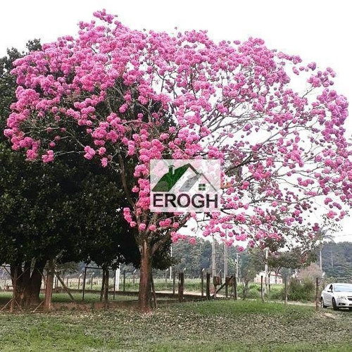 Imagem 5 de 10 de Chacara A Venda Tiete Sp - Ch0003