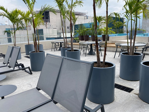 Jardines Del Pedregal, Excelente Desarrollo Park Pedregal, Junto A Plaza Artz