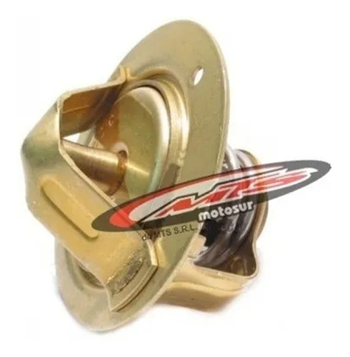 Termostato Original Honda Cbr 1000 F Goldwing Moto Sur