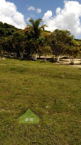 Imagem 12 de 15 de Chácara Para Venda Em Abreu E Lima, Igarassu - Ja217_1-1064393