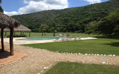 Imagen 8 de 13 de Vendo Finca 2.680.000 M2 El Consejo