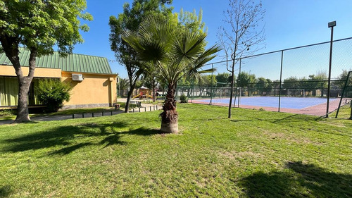 Nueva Uno / Cerrillos