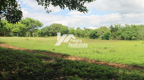 Imagen 2 de 5 de Venta De Terrenos En Masaya