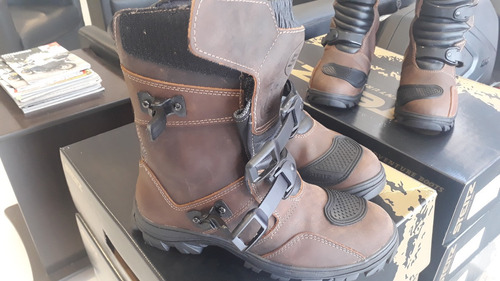 bota steitz austral