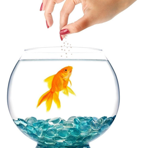 Alimento Para Peces Balanceado Completo Sobre 25 Gramos
