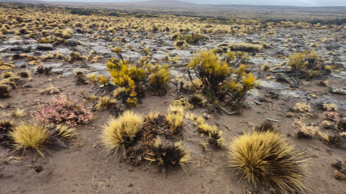 Campo En Valcheta. Rio Negro
