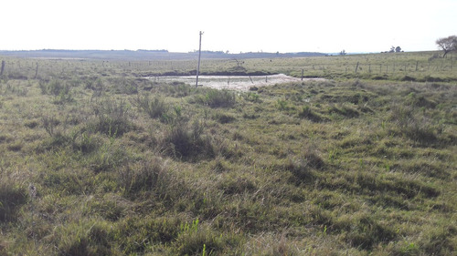 8 Hectáreas Con Casa, Chacra En Venta En Canelones