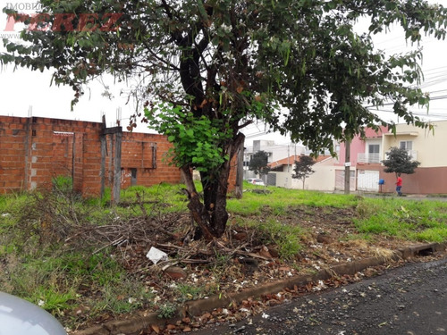 Imagem 7 de 7 de Terrenos Para Venda - 13650.5986