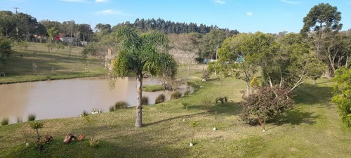 Imagem 17 de 29 de Fazenda À Venda Na Francisco Schena, Roseira, Campina Grande Do Sul - Pr - Liv-17183