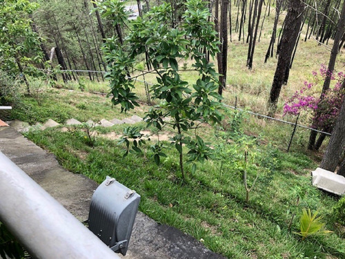 Imagen 29 de 30 de En Venta Una Espectacular Y Lujosa Quinta, Totalmente Equipada Y Amoblada, Ubicada En Bosque Valle.