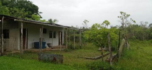 Imagem 21 de 25 de Chácara Com 50.000 M² De Área Total E Com Horta, Lago, Riacho, Pomar E Cozinha Caipira, No Bairro Gaivota, Em Itanhaém Ref: 9242/ac