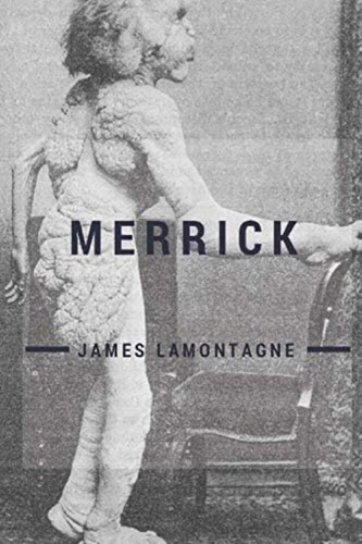 Merrick, De Lamontagne, James. Editorial Unsolicited Press, Tapa Blanda En Inglés